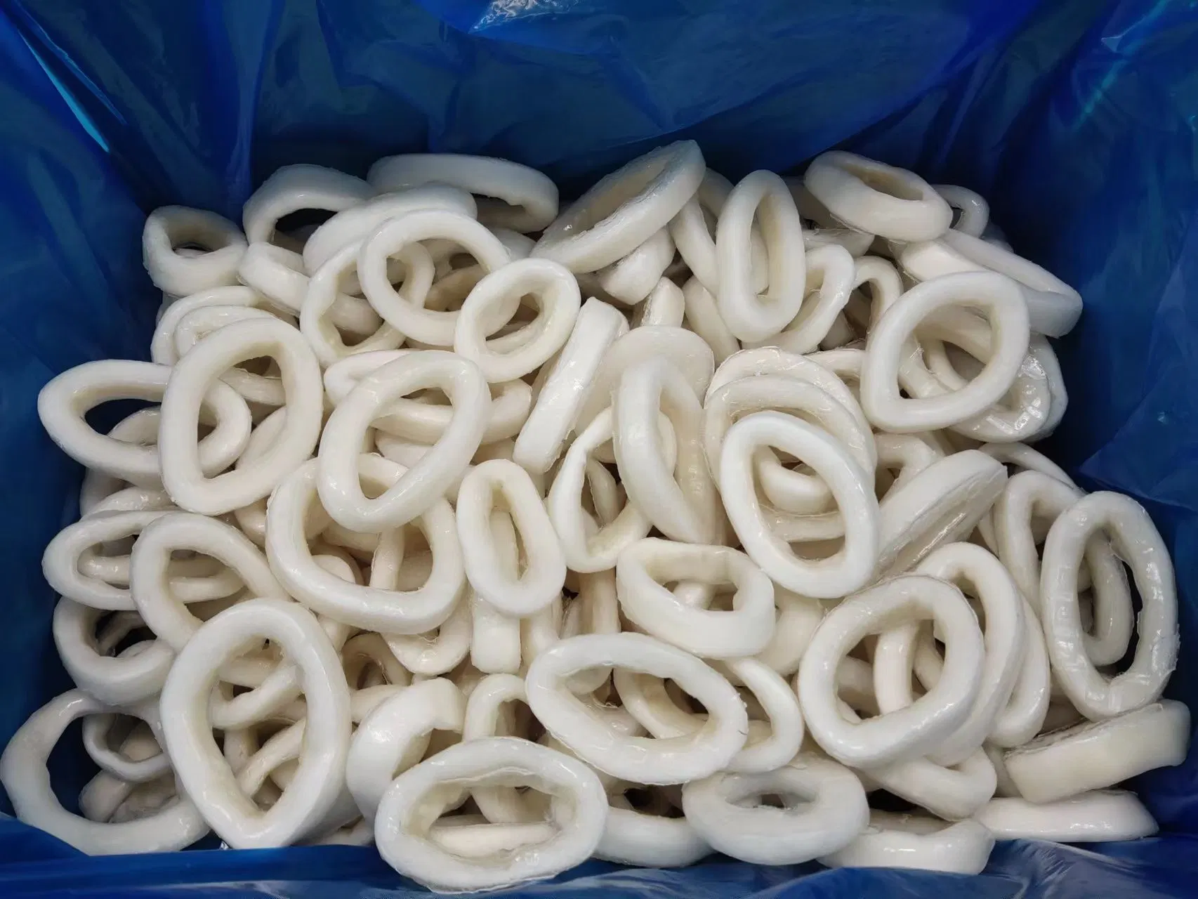 Congelados mariscos Venta caliente/Calamar Calamar Pota Sotong anillos para el mercado