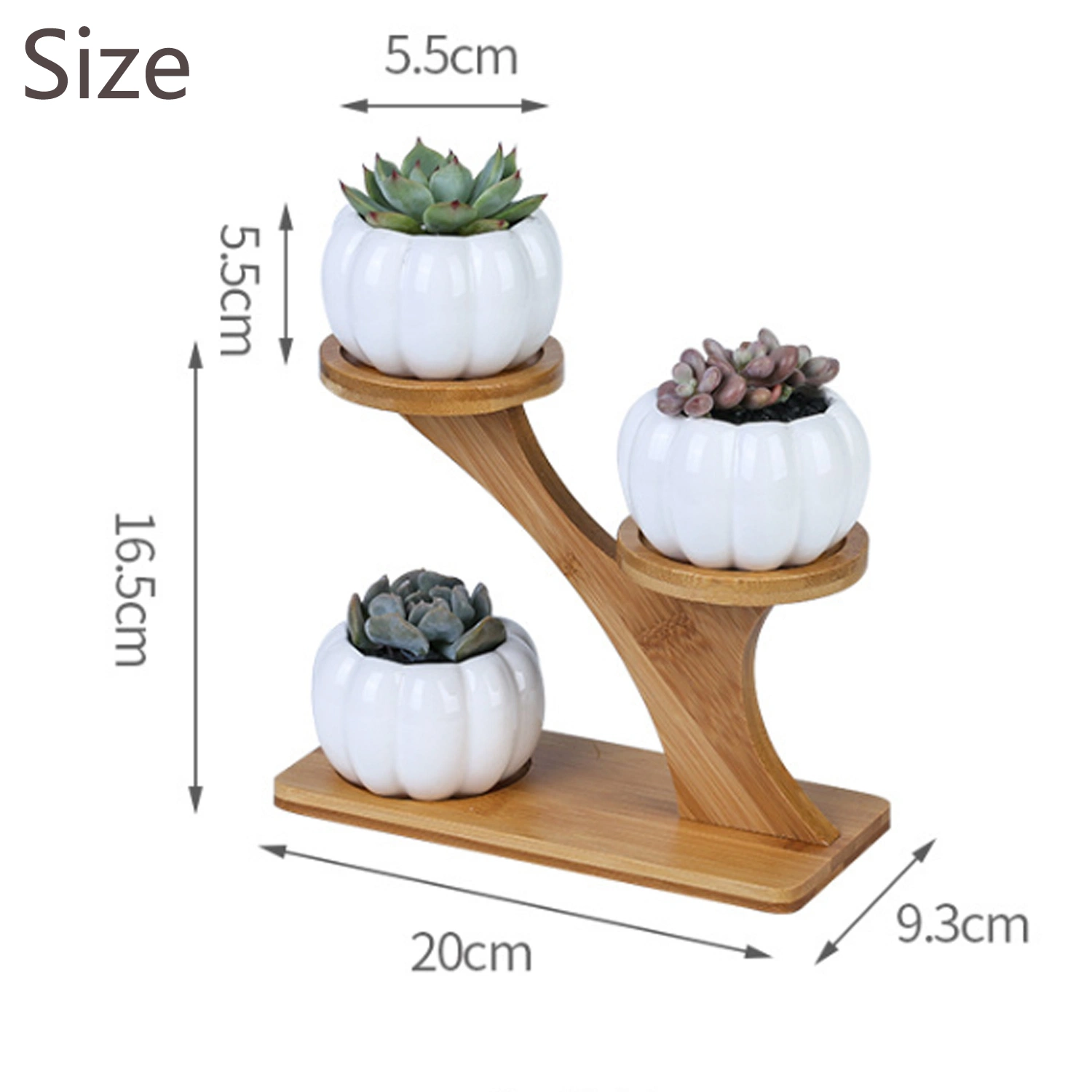 Small Pumpkin Shape Ceramic Flower Pot with Bamboo Stand