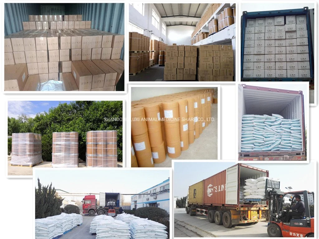 Original Factory Cyromazine Sg 2%/Parasiticide/Pesticide/Fly Control/Drugs/Veterinary