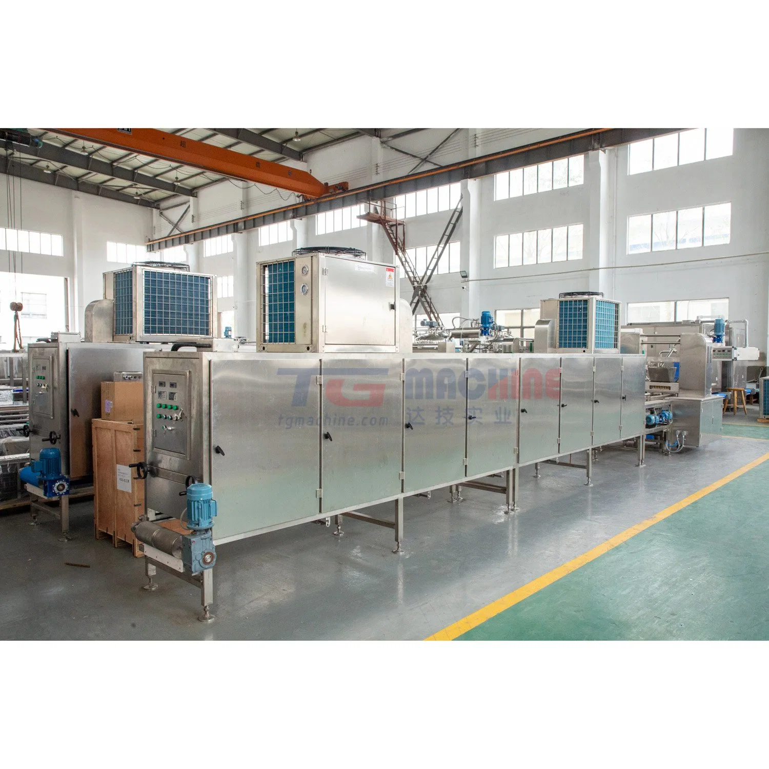 Tg High Depositing Speed Vitamin Gummy Processing Machinery Confectionery Machine Manufacturing Depositor Gummy Bear Machine