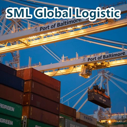 Professional Fast Reliable Air/Ocean Cargo Shipment Freight Forwarder From China to Worldwide Door to Door by Sea Cargo Shipment