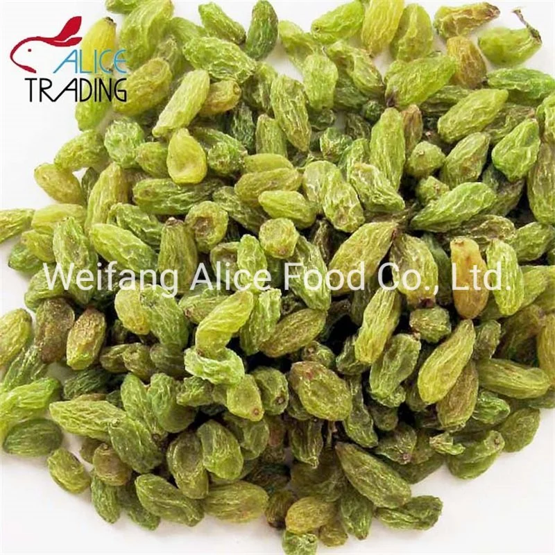 Healthy Fruit Snacks Pure Natural Bulk Packing Xinjiang Turpan Green Raisin