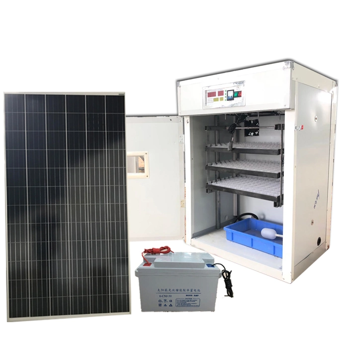 Newest Solar Power Chicken Egg Incubator 200 Eggs in Africa Country