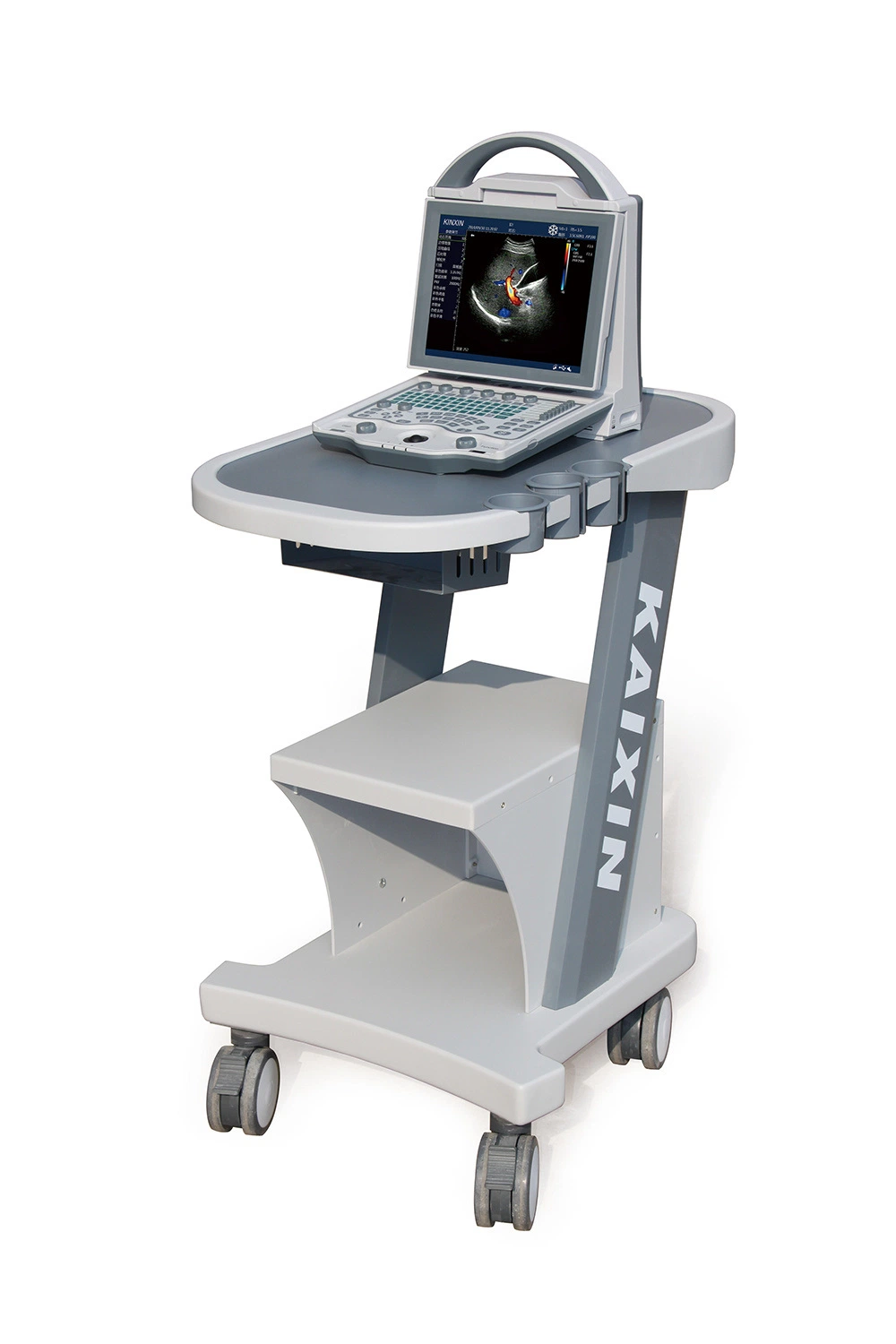 Veterinary Portable Laptop Pregnancy Ultrasound Equipment 4D Color Doppler Veterinary Ultrasound System Machine