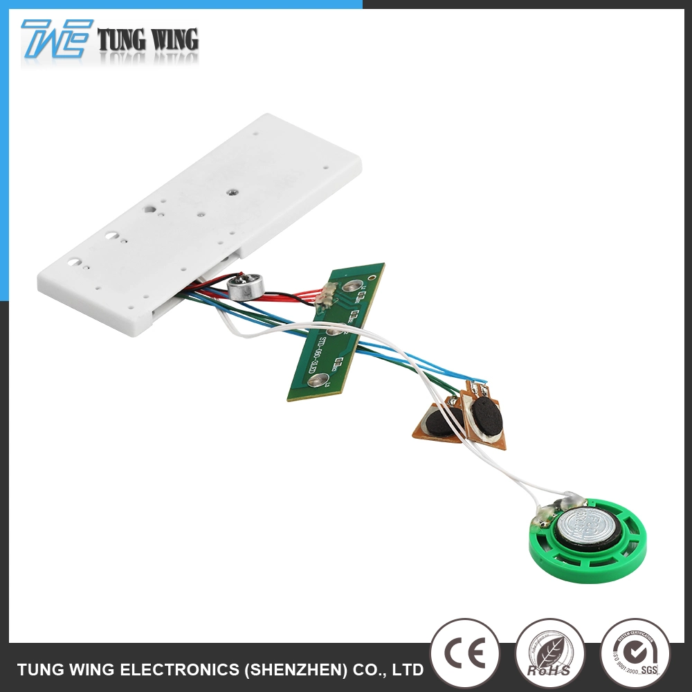 Recordable Music IC Chip for Greeting Card