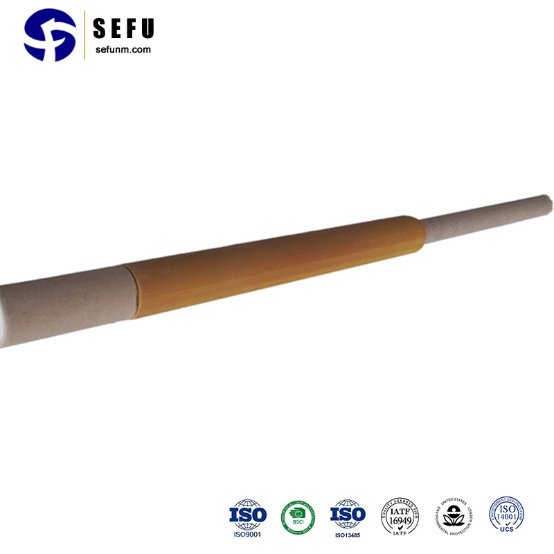 Metallurgical Sensors Thermocouple Supply Immersion Probe Hydrogen Content Measurement for Steel Plant