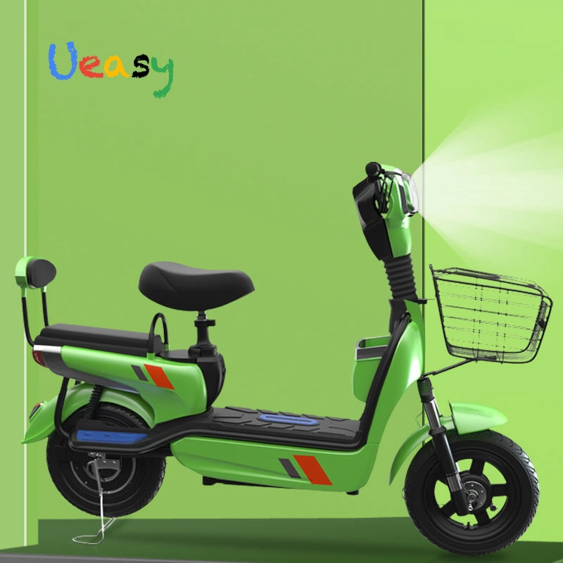 Wholesale/Supplier Buy Custom Fat Tire Brushless Electric Bike for Adult with CE