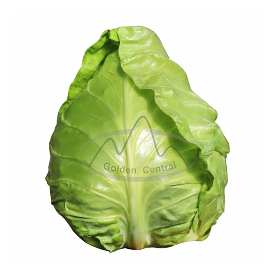 Delicious Green Organic Fresh Cabbage Export From China