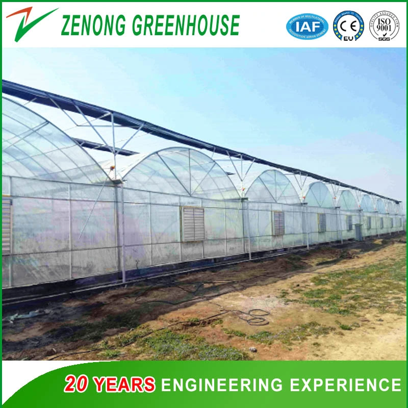 Agricultural Hydroponic Systems for Greenhouse for Exhibition/Seed-Breeding/Flower/Vegetable/Eco Restaurant