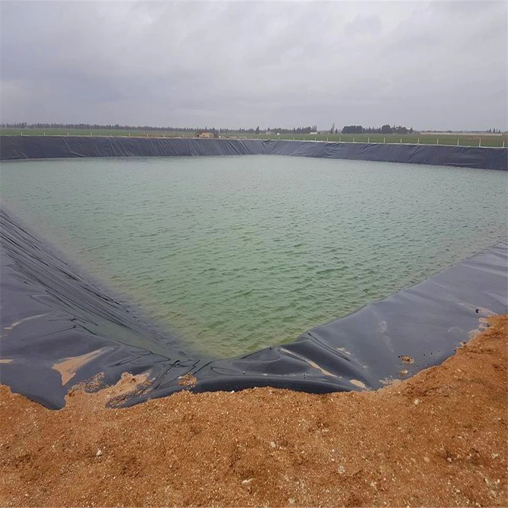 Revestimiento impermeable HDPE Geomembrane Fish Pond Liner Dam