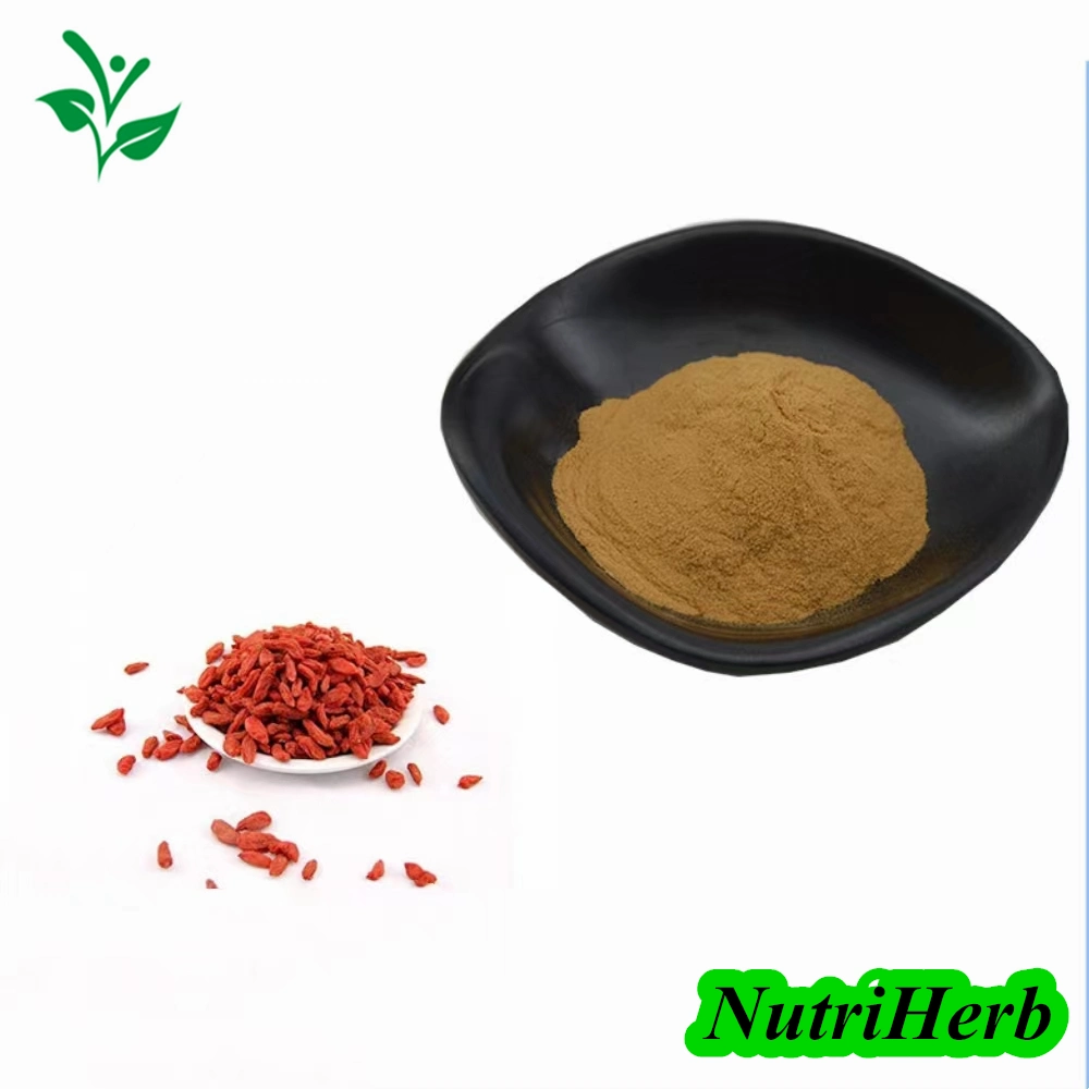 Nutriherb Supply Goji Berry Extract Wolfberry Extract 50% Polysaccharides Powder