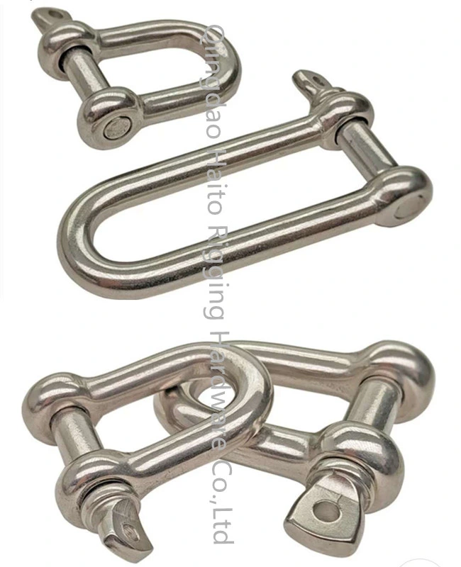 Stainless Steel European Type Dee Shackle 304/316 with Sale Online