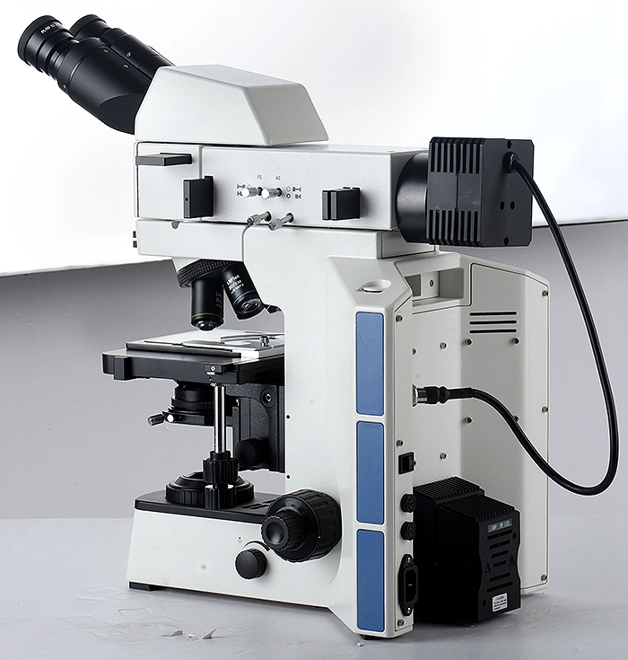 Bestscope BS-6012trf Laboratory Metallurgical Microscope