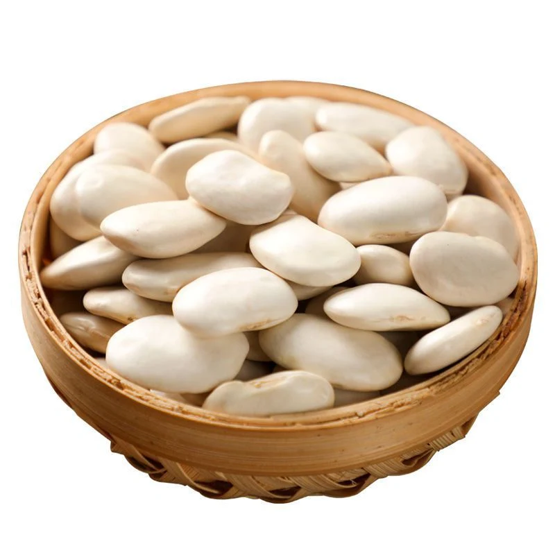 Chinese White Kidney Beans Large Size White Kidney Beans Export