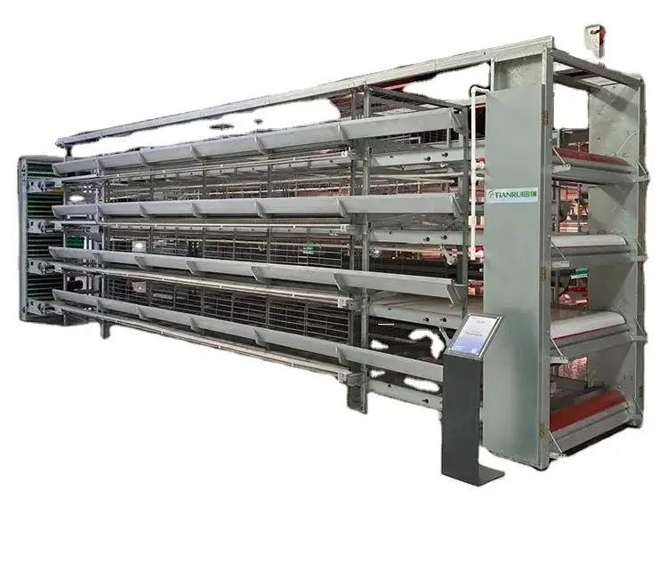 Egg Layer Farming Equipment H Typ voll automatische Batterie Huhn Geflügelkäfig