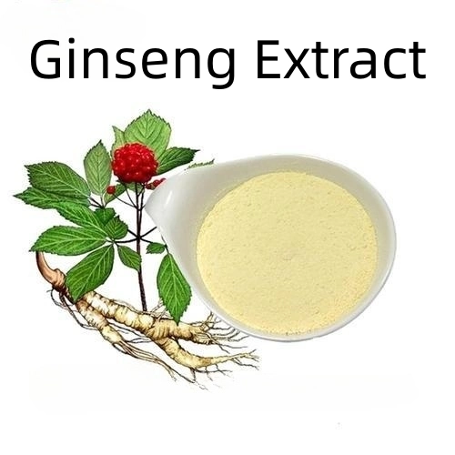 Melhor preço Ginseng extrato 80% com alta qualidade