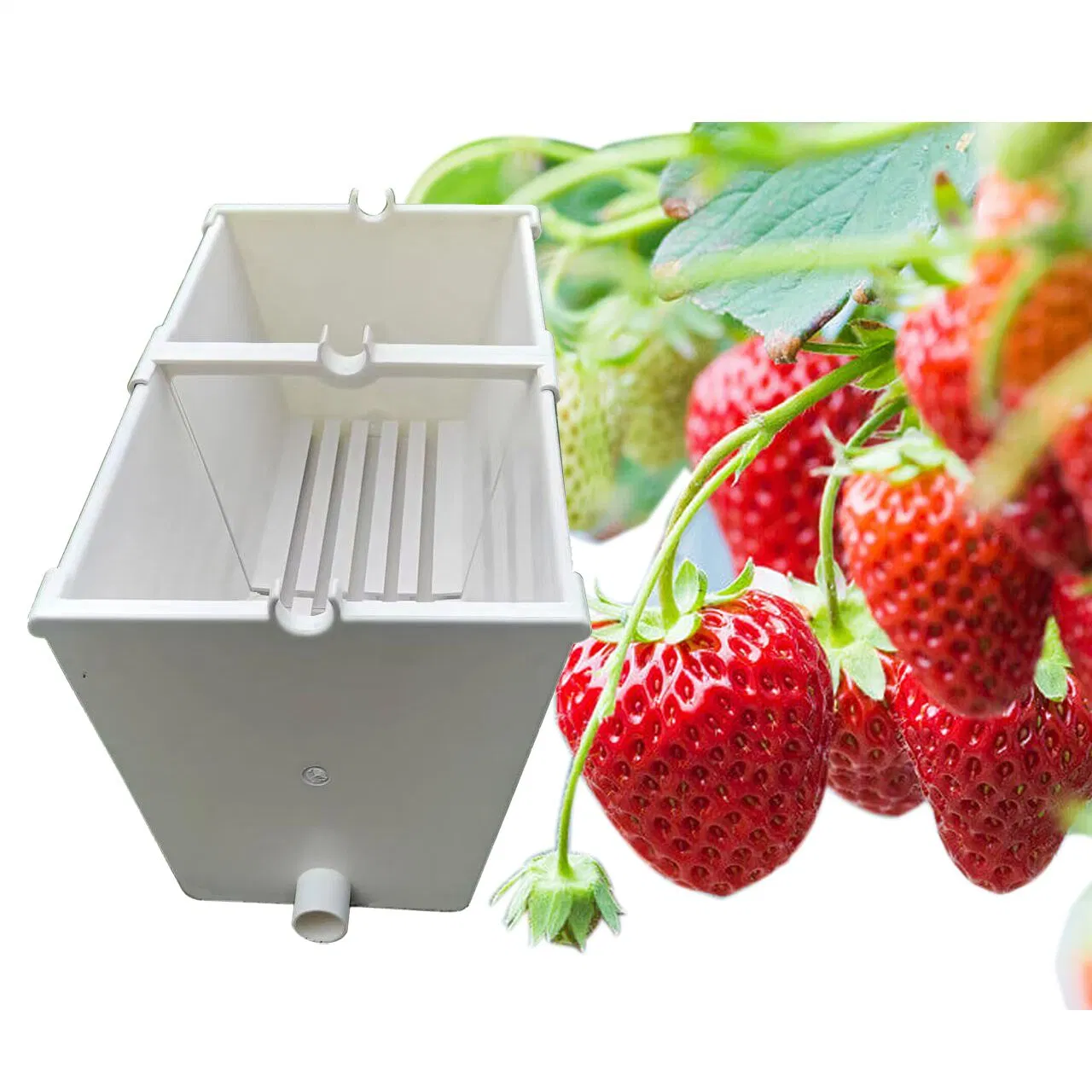 New Agriculture Growing Equipment Plastic Planting Gutter Strawberry Melon Growing Trough