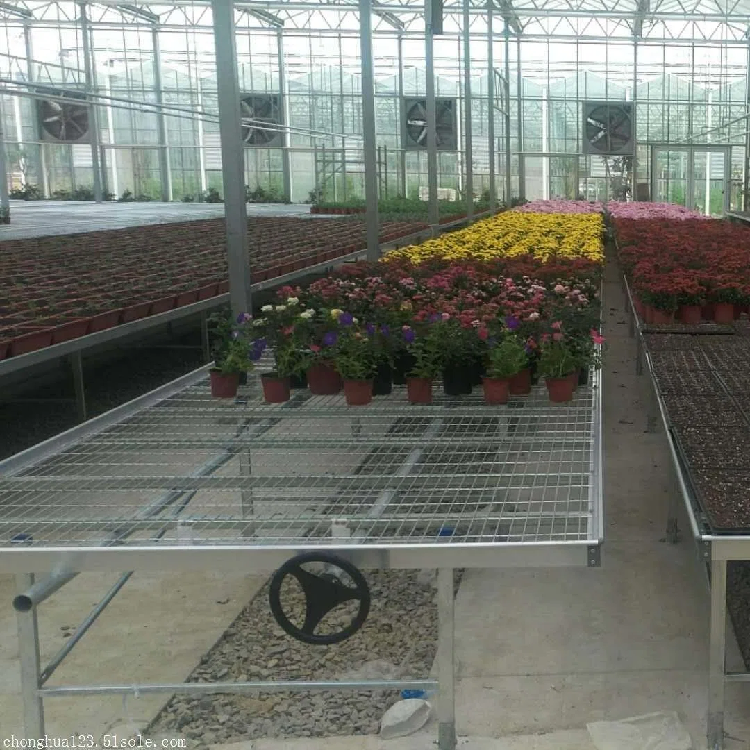 Baixo preço personalizado padrão estufas agrícolas abrangem vários produtos de jardinagem horticultura em estufa Viveiro Viveiro Xinhe