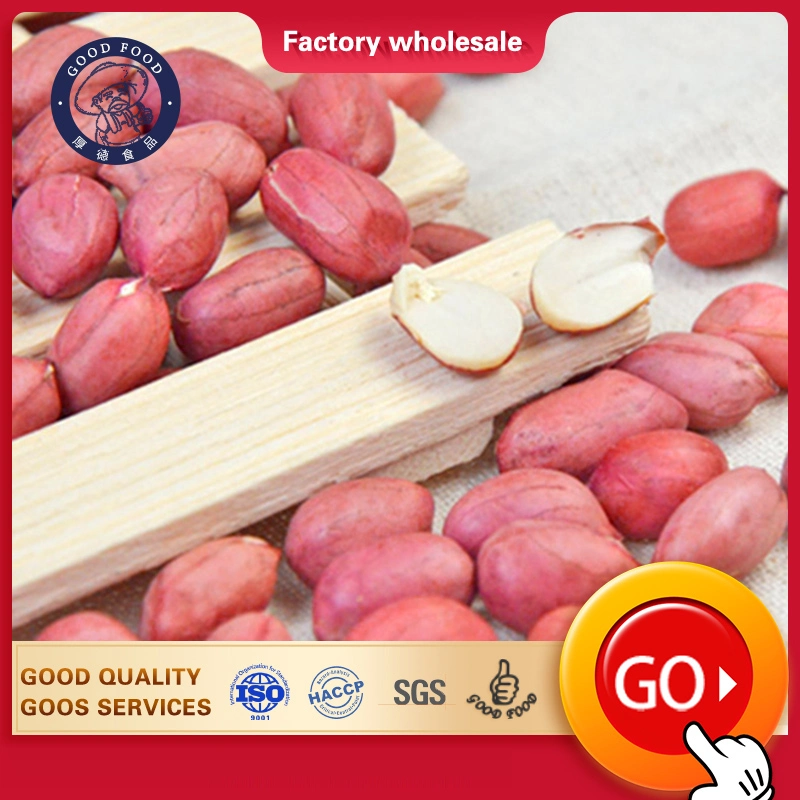 Dried Kernel Peanuts Groundnut Raw/Fresh Red Skin Arachid for Sale Chinese Factory