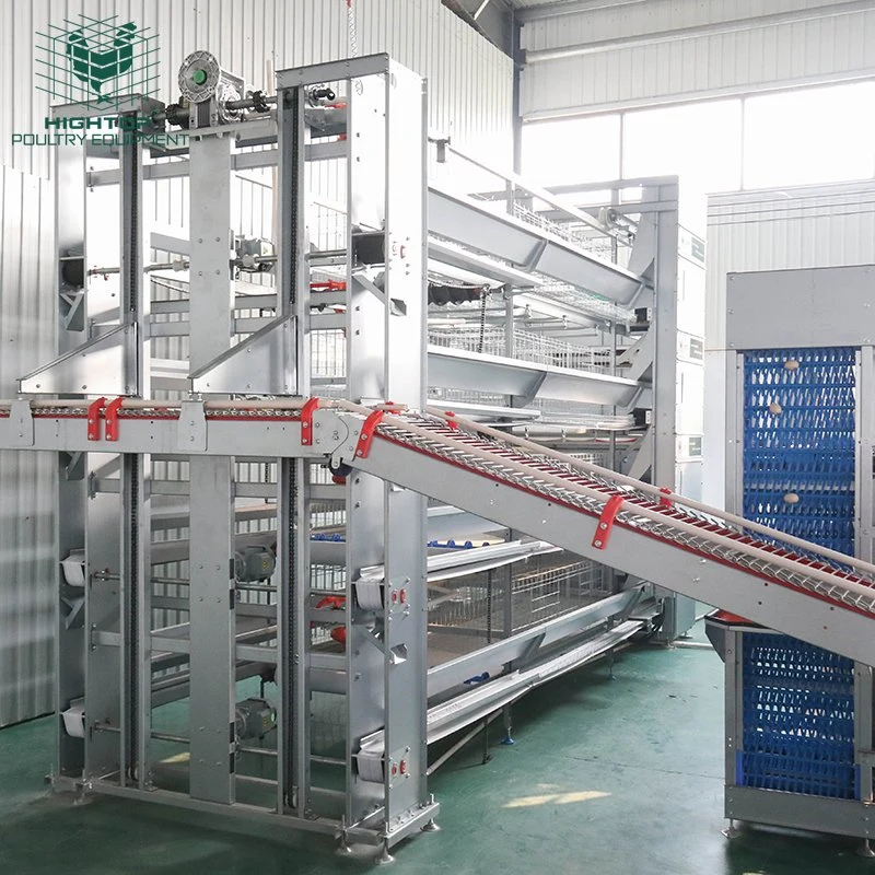 Hightop Galvanized Steel Poultry Farming Equipment Batteries Egg Chicken Cage Prices of Laying Hens