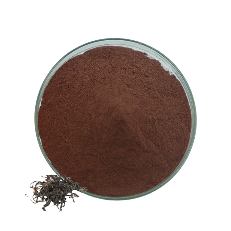 Premium 100% de extracto de té negro en polvo instantánea