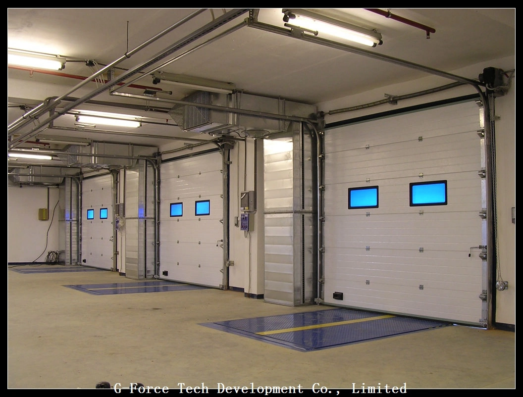 Ral High quality/High cost performance  Automatic Section Garage Door