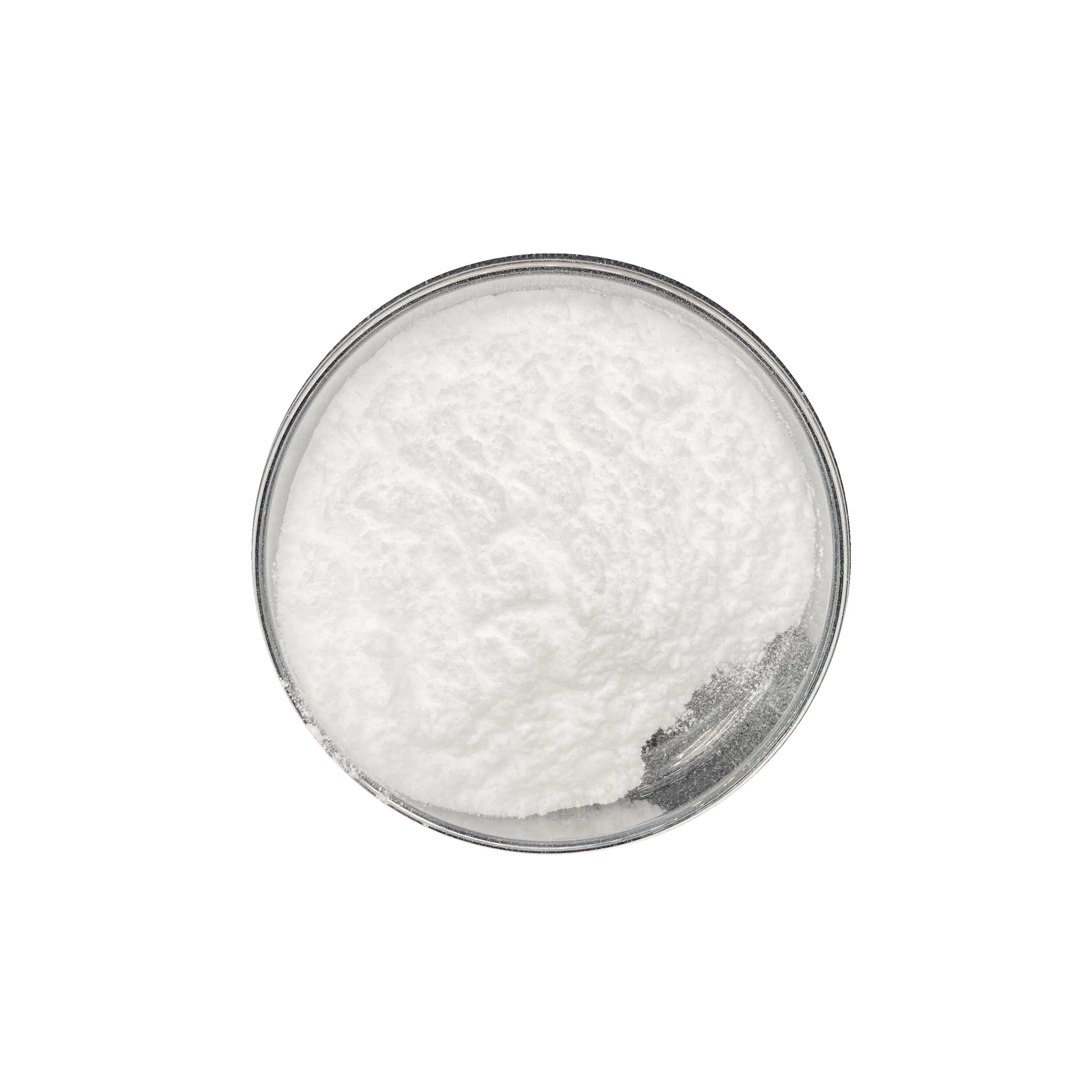 Supply Top Quality White Kidney Bean Extract Powder 10: 1, 98%