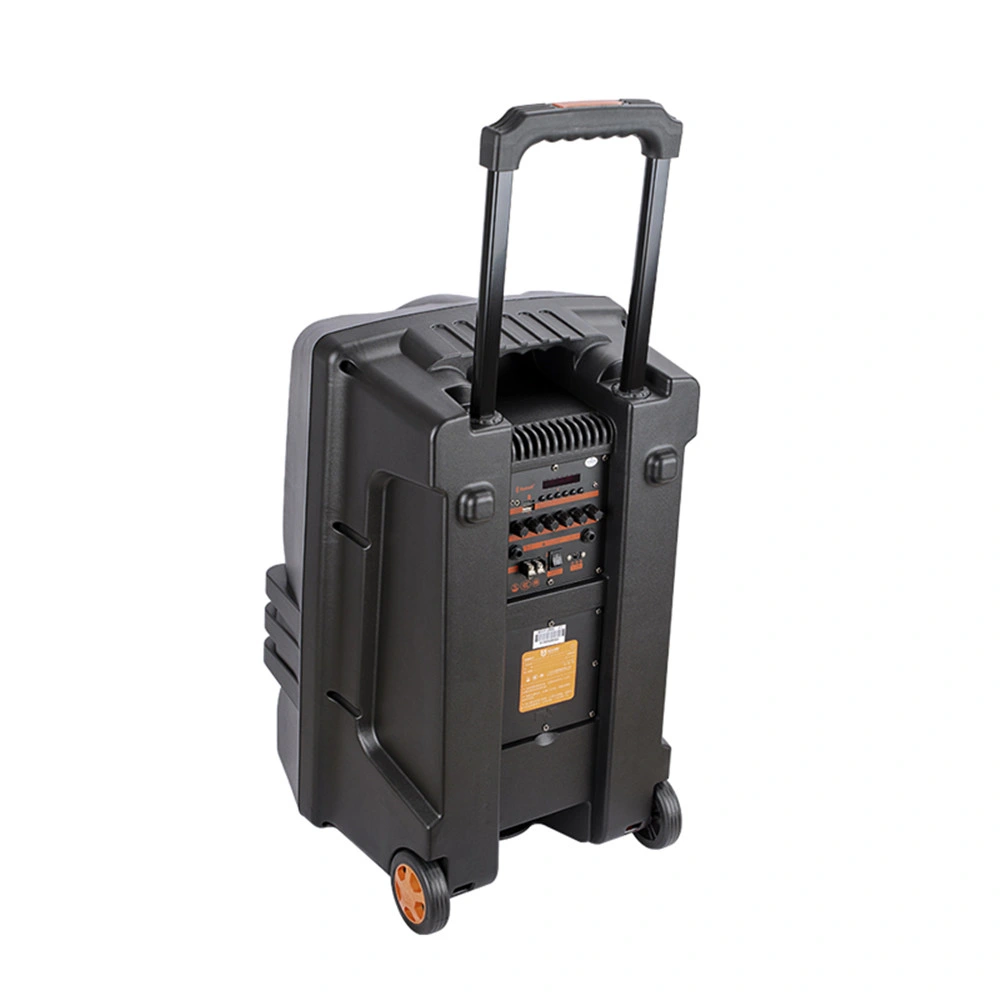 Equipamento de som com colunas de 12 polegadas Trolley Power Dynamics