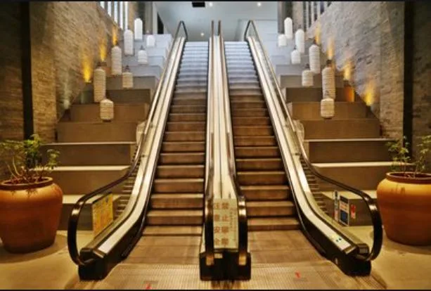 China Manufacture Elevator Escalator for Airport and Subway Projects with CE Certification