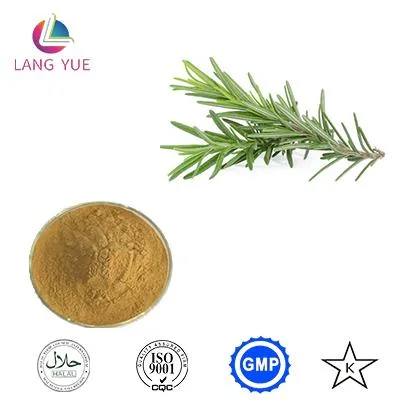 Healthy Herbal Extract Rosemary Extract Natural Antioxidant Ursolic Acid Rosemary Essential Oil Rosemary Extract