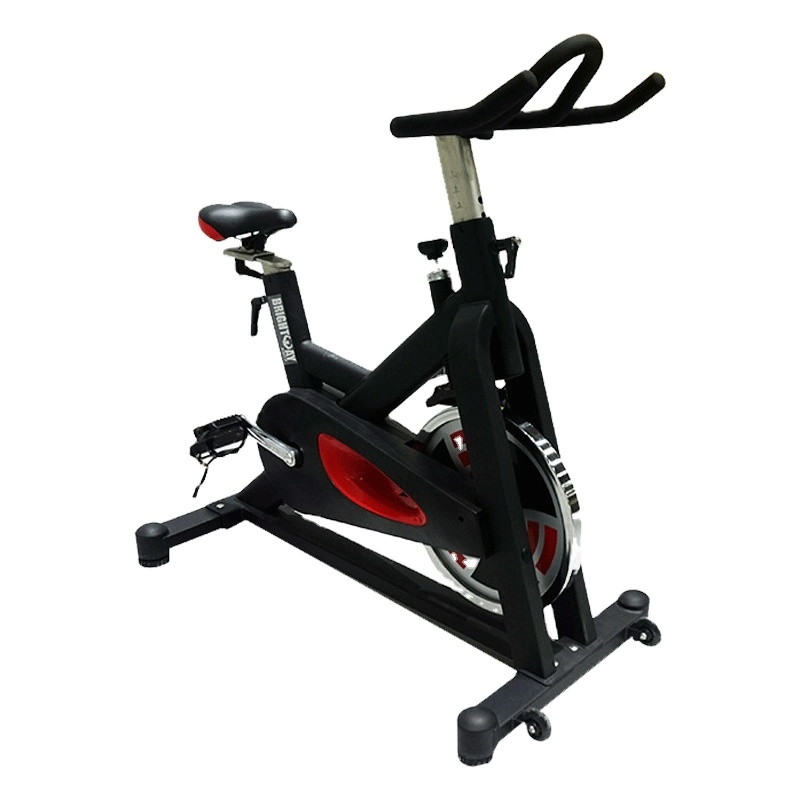 MOQ 1 Home Exercise Dynamic Gym Equipment Magnetic Resistance Spinning Bike with Free Logo Customization