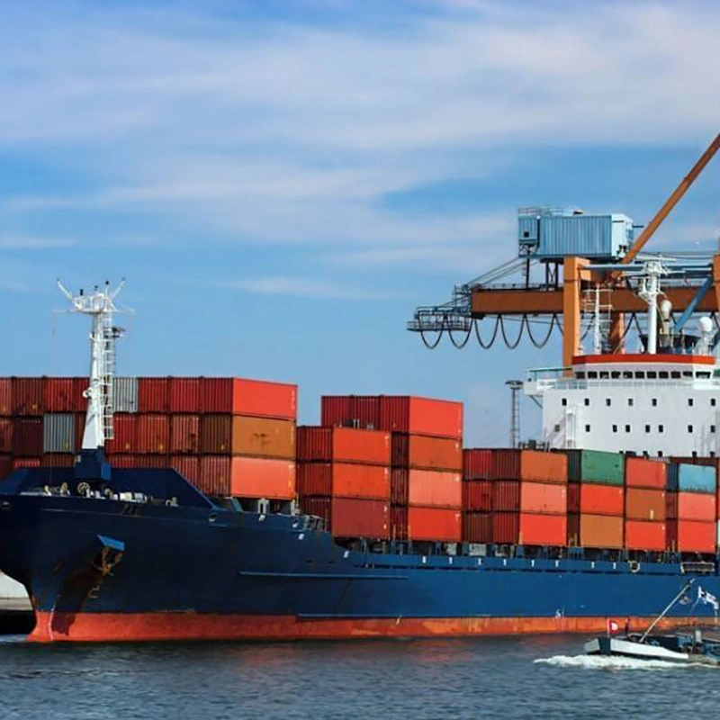 China Sea Shipping Cargo Consolidation Shenzhen nach Spanien Valencia/ Cartagena LCL-Logistikagent