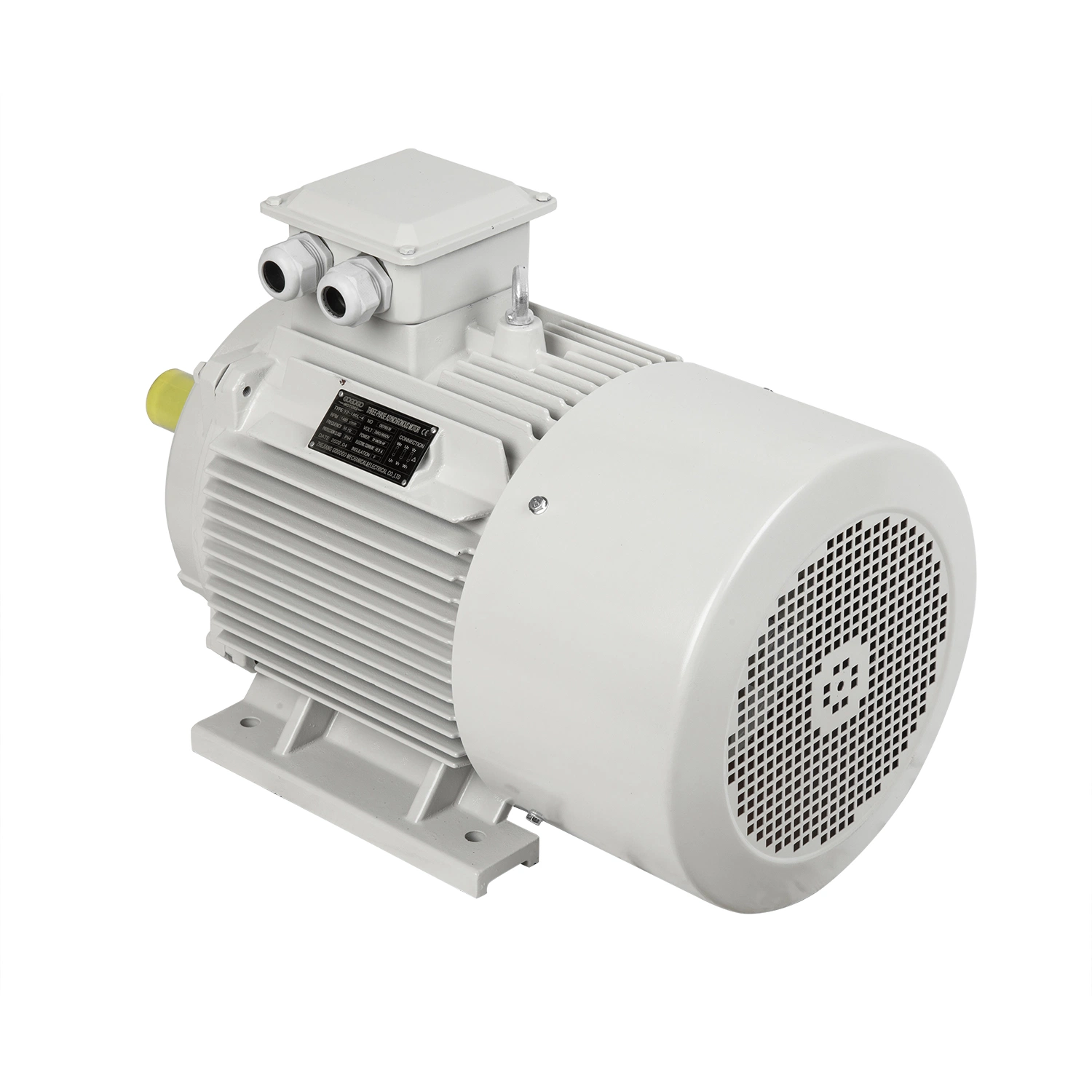 Electric Motors of Y Series, Y2/Ye2 Series, Ys/Ms Series of Three Phase Asynchronous Motor; Yc Series, Yl Series, My/Ml Series, Jy Series of Single Phase Motors