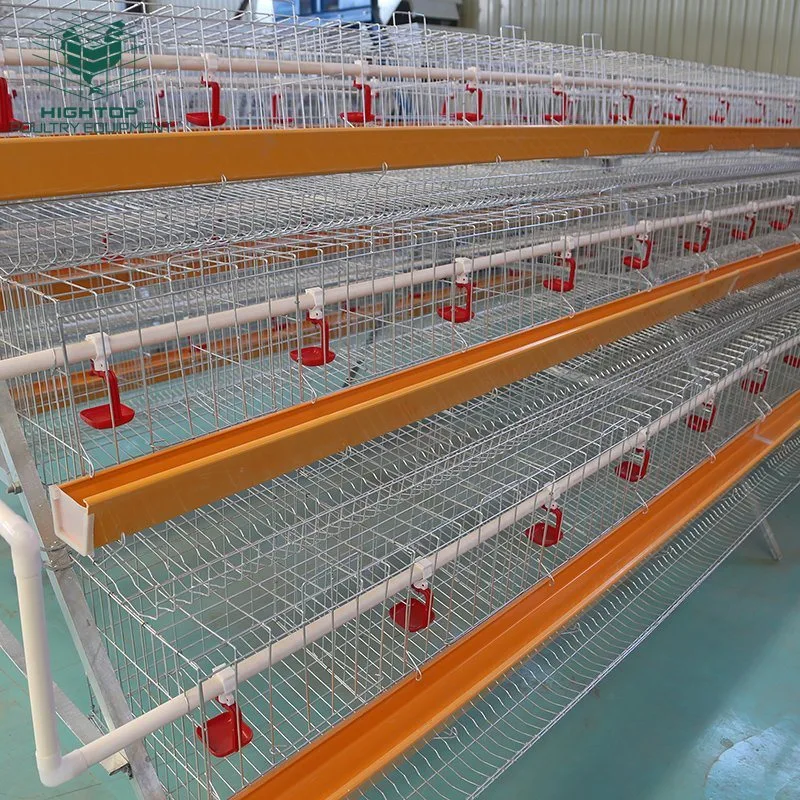 Hot Selling Poultry Raising Equipment Layer Chicken Cage For Laying Hens