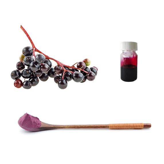 Berry Black Elderberry sabor natural de frutas extracto en polvo con el sistema inmunológico y el antioxidante