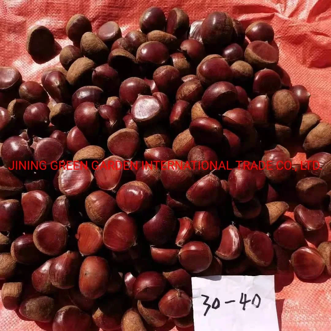 Freshly Washed Chestnuts 30-40 Pieces/Kg 2023 New Crop