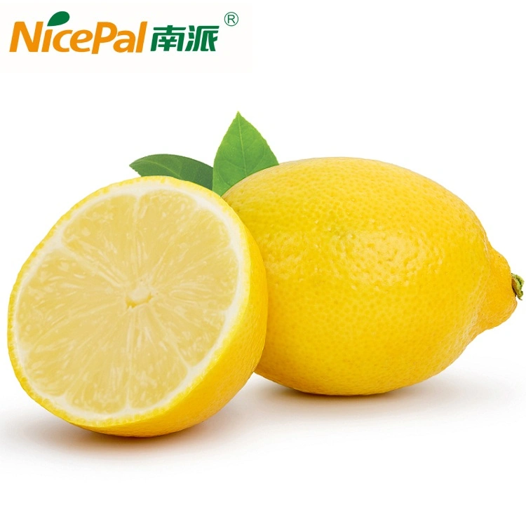 Best Quality Lemon Powder Beverage Powder