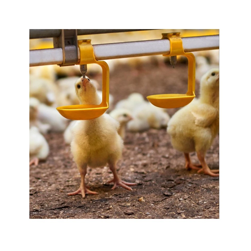 Élevage de volailles de l'équipement au sol pour les poulets à griller