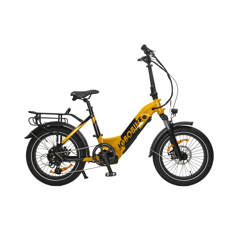 48V 750W pulgadas de grasa Eléctrica bicicleta con Motor 20