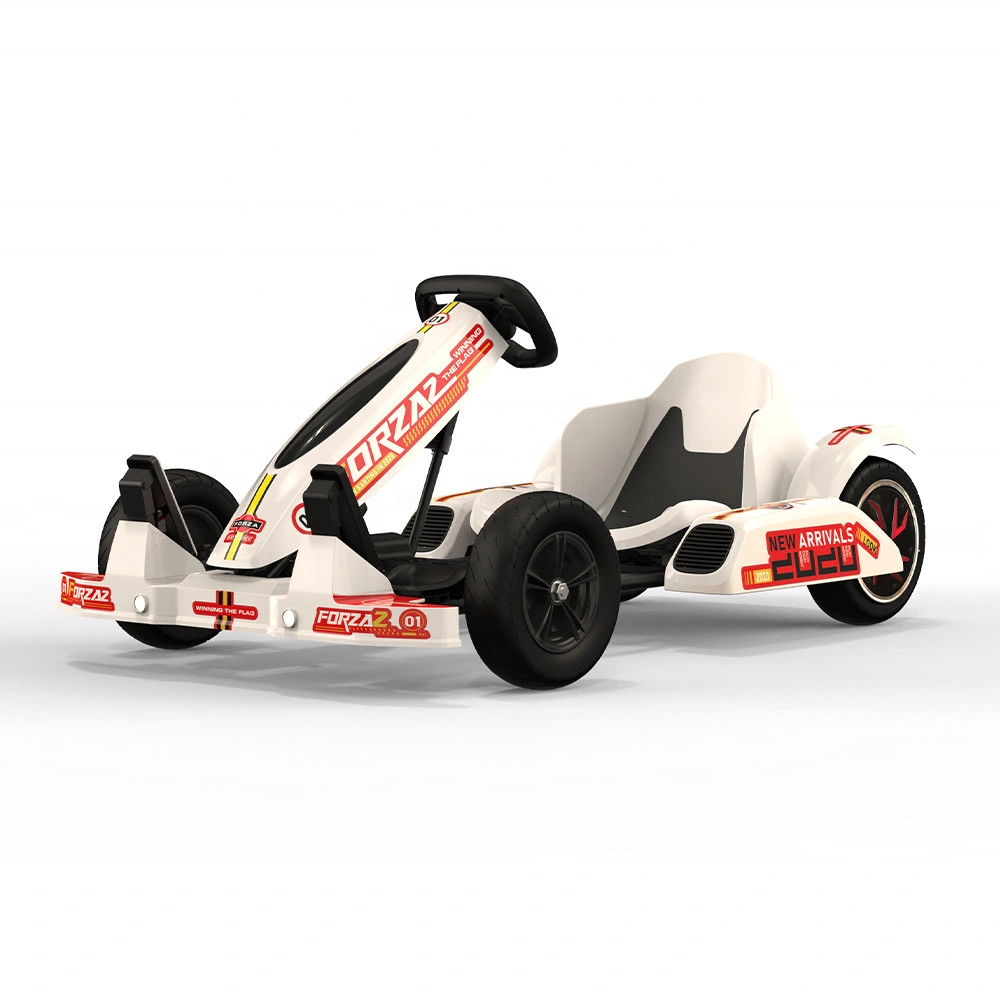 Kart eléctrico todoterreno para adultos con freno de doble disco al por mayor personalizado