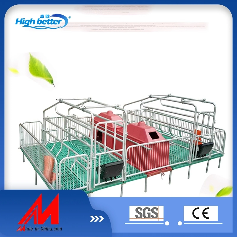 Galvanized Pig Farrowing Crates Pig Flooring Stall Farrowing Bed Sow Equipment for Hot Sale