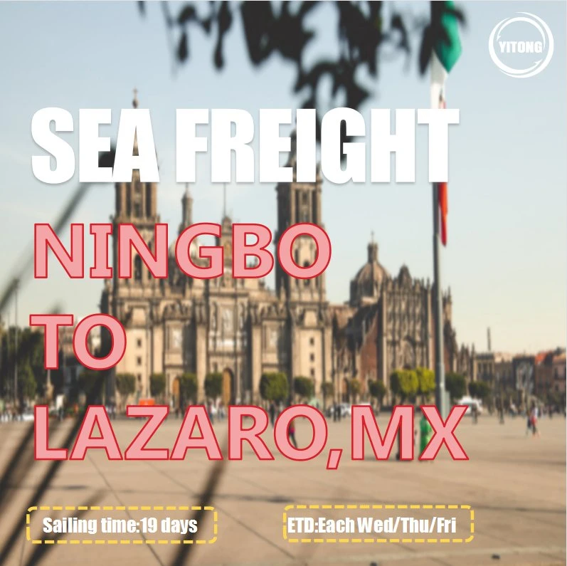 Sea Freight Logistics From Qingdao to Manzanillo