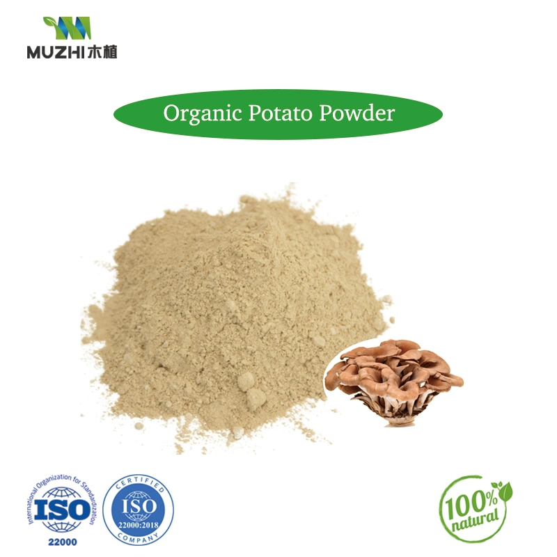 Maitake orgánico Extracto de setas polvo Herbal Natural