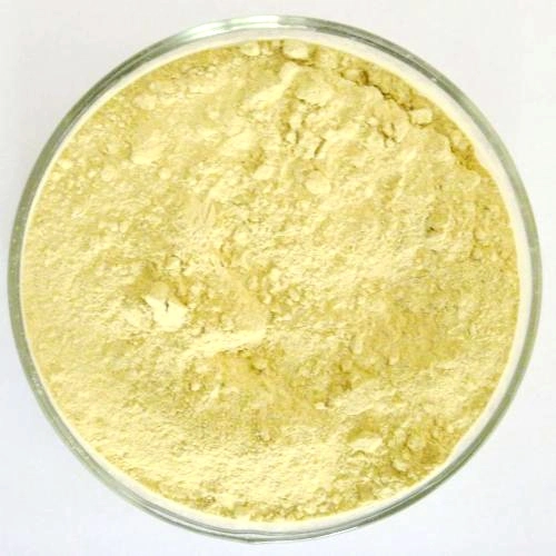 Aloe Vera Extract Powder 200: 1