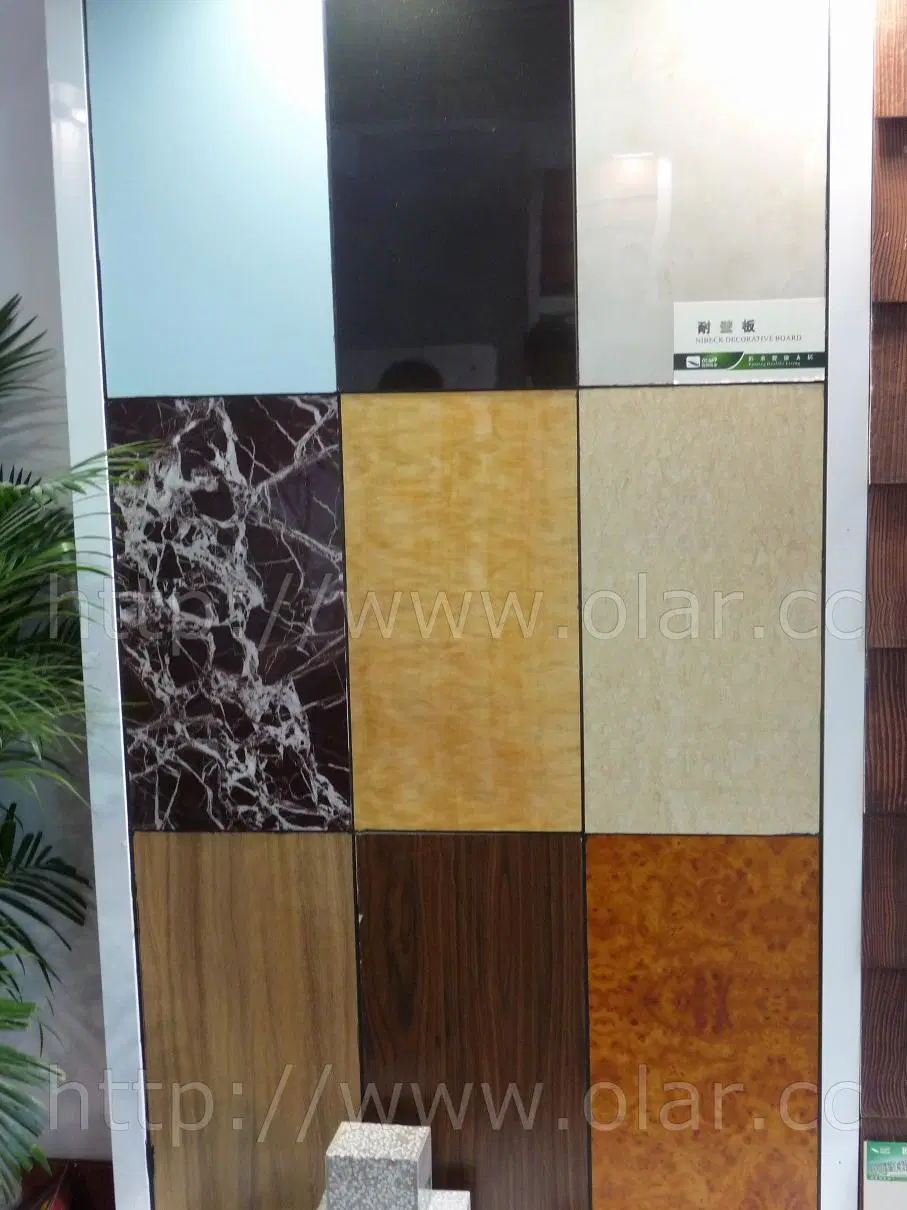 Fiber Cement Waterproof Decoration Wall Board/ Building Material