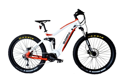 27,5 Zoll Customized Suspension Electric Bicycle Fat Tire eBike MTB