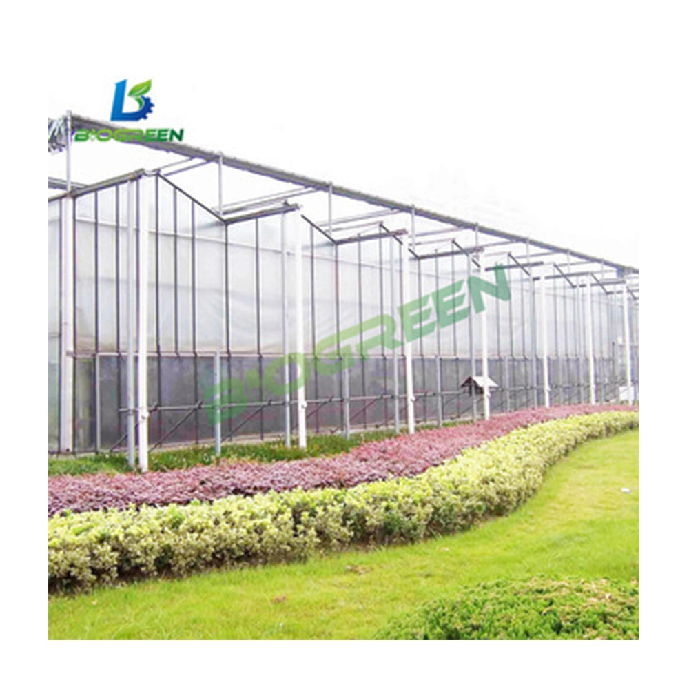 Easily Assembled PVC Greenhouse Kit Garden Greenhouse Used for Outdoor