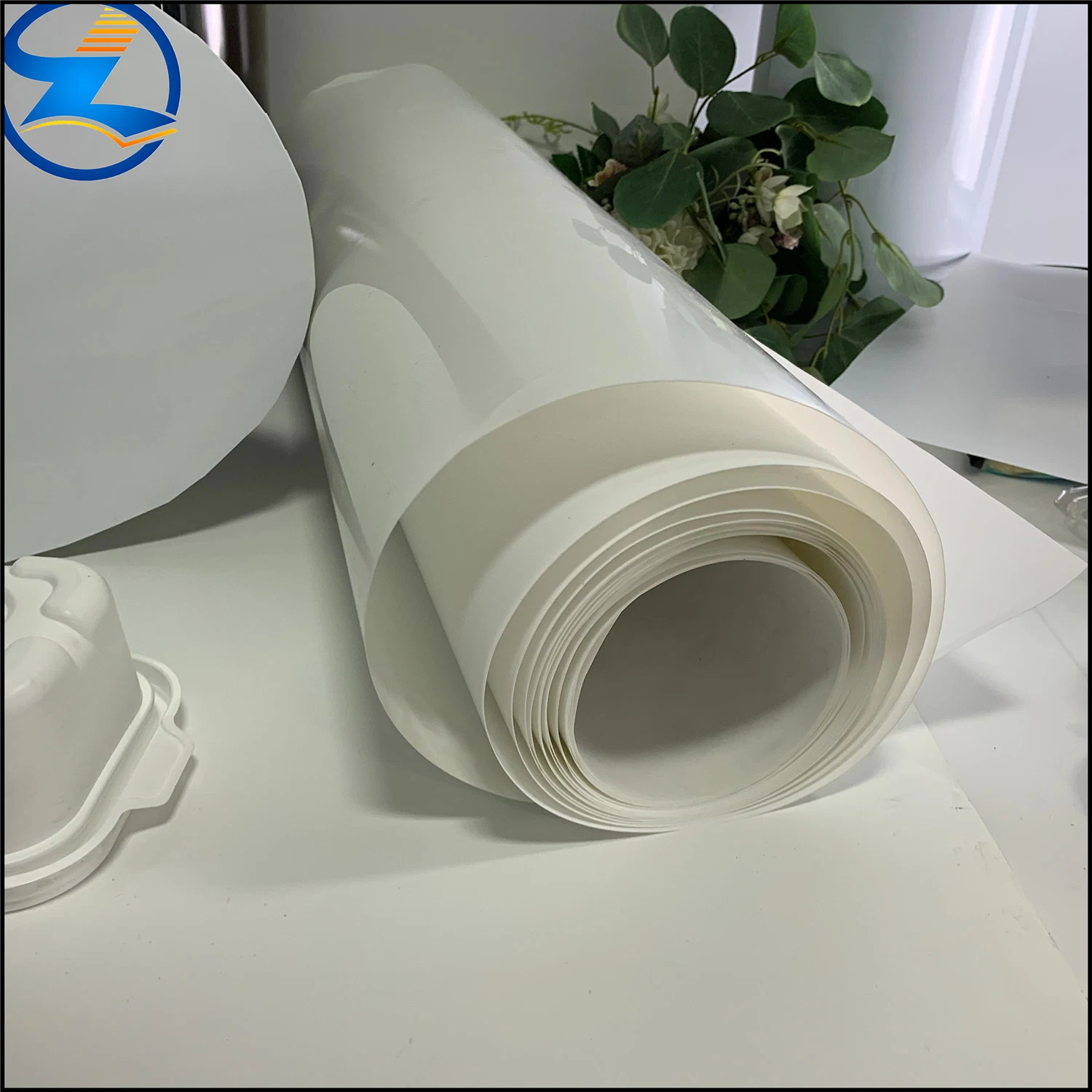 PP Form Sheet Black PP Film Sheet Packing Material