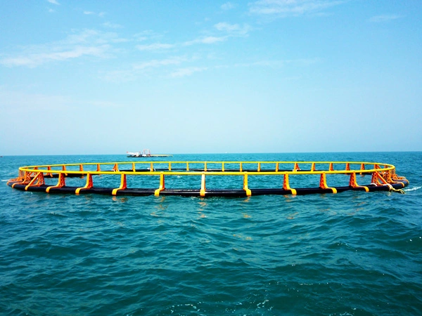 Ofrecemos servicio de instalación para nuestro mejor vendedor de la jaula de peces flotantes de HDPE