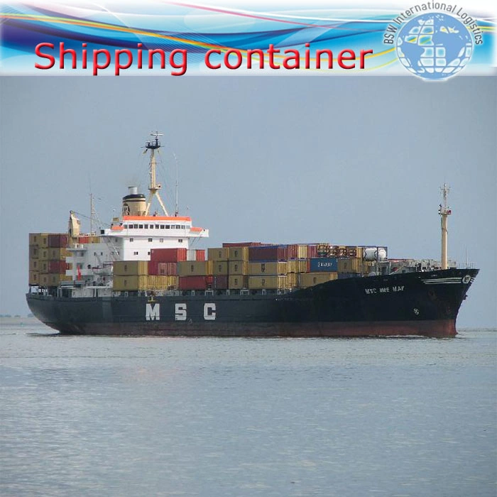 Door to Door Safe Sea Shipping Ocean Forwarder Freight From China to Argentina